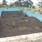 aménagement de jardin avec piscine